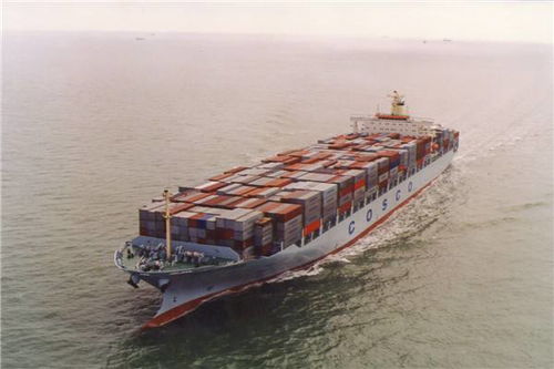 广州仓储服务 现代化物流枢纽的核心支撑